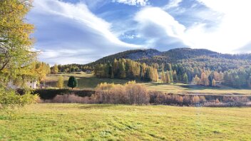 DJI_20261015161738_0037_D