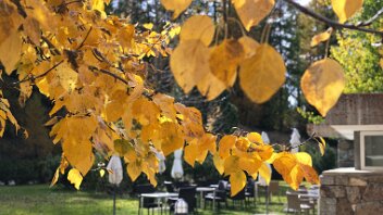 goldener Herbst im Egandin Sils i.E.