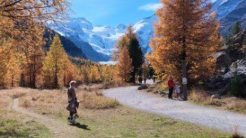 goldener Herbst im Egandin Lärchen strahlen