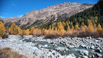 goldener Herbst im Egandin Lärchen strahlen