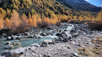 goldener Herbst im Egandin Lärchen strahlen